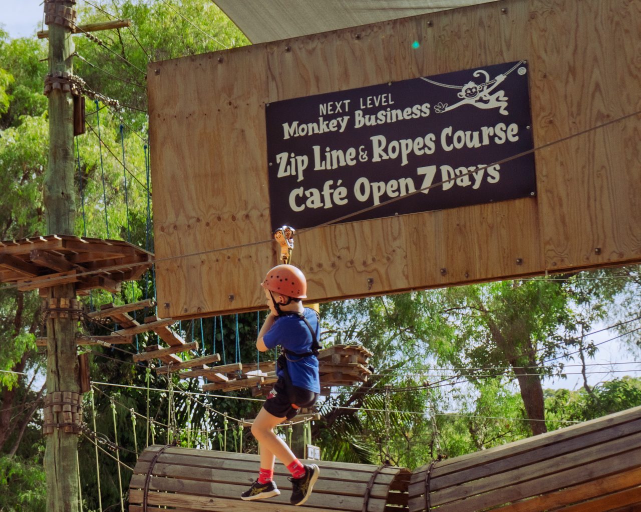 Next Level · Zip Line